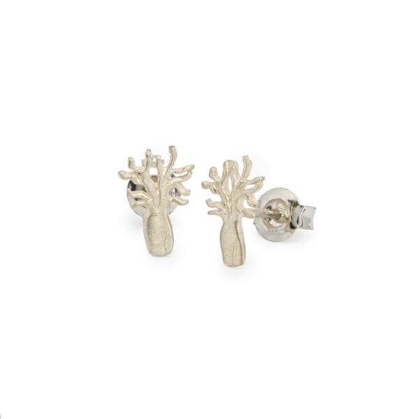 Sterling silver boab tree stud earrings